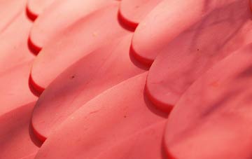 Stanford Le Hope plastic roof costs